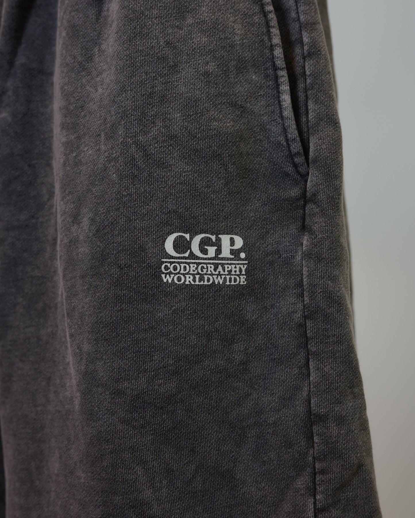 Pigment Square Logo Sweat Shorts