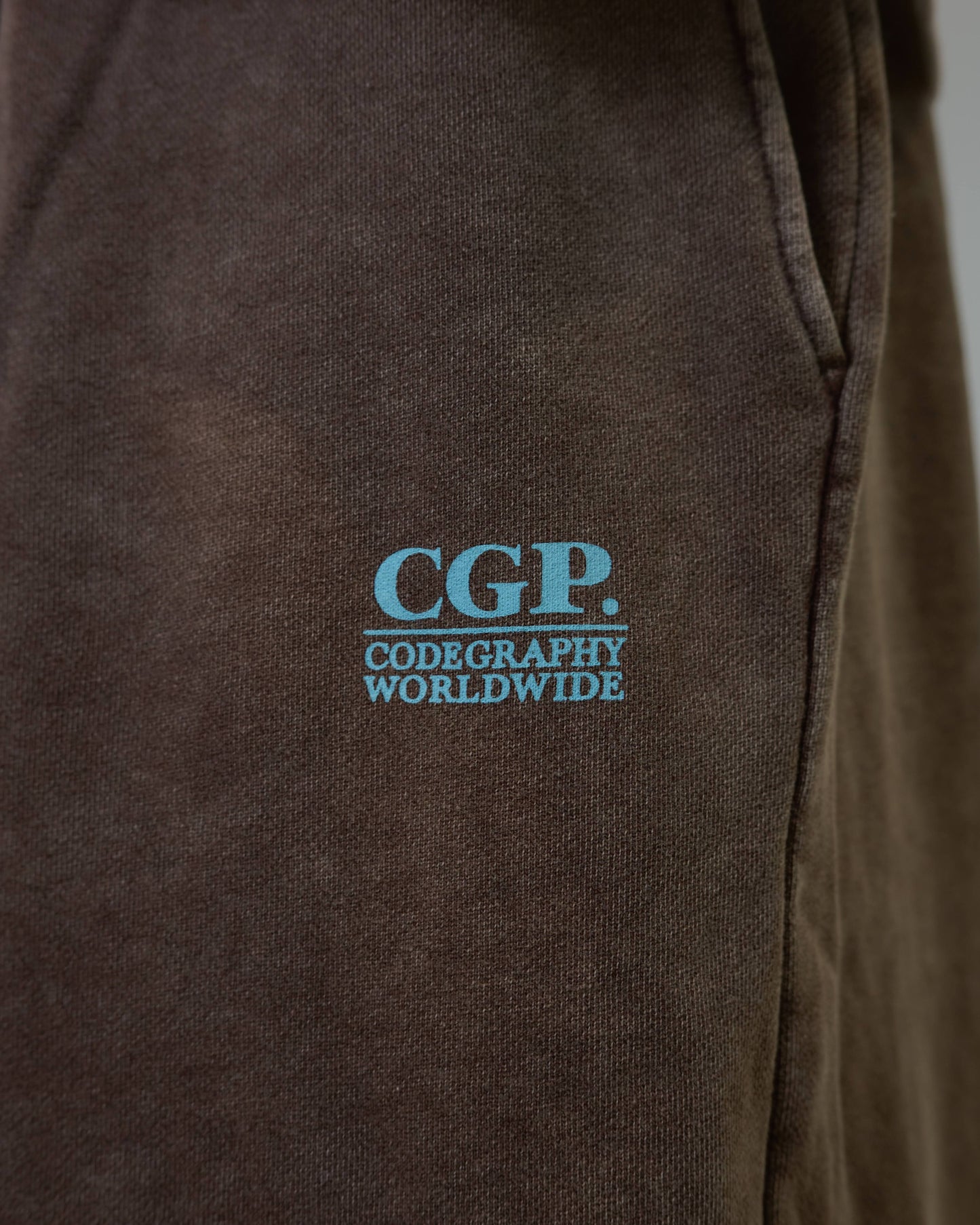 Pigment Square Logo Sweat Shorts